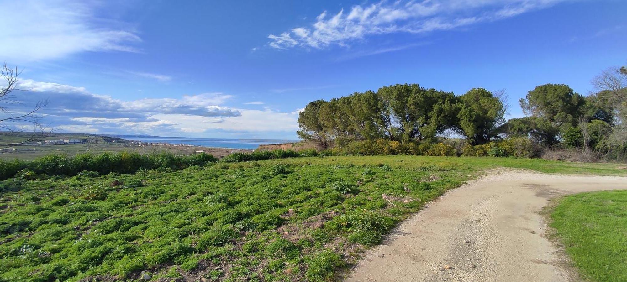 Farm stay Arkadia