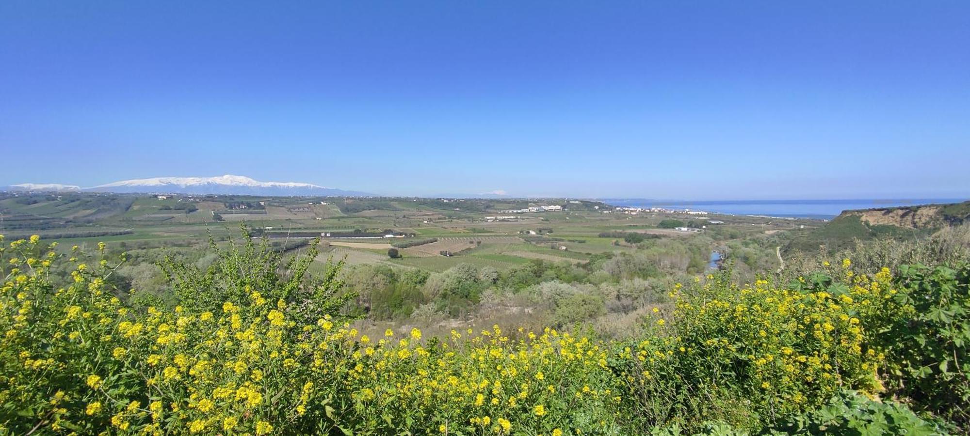 Arkadia Farm stay Vasto